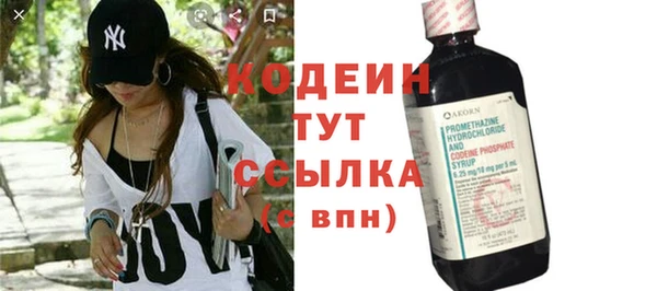 гидра Богданович