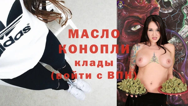 гидра Богданович