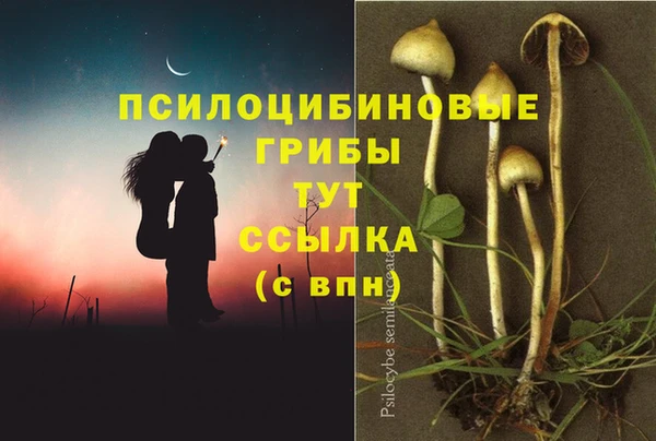 альфа пвп Богородск