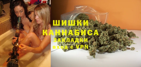 гидра Богданович