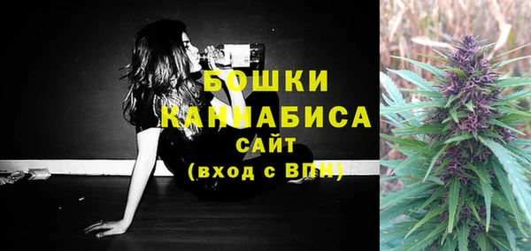 дурь Богородицк