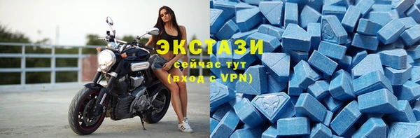 гидра Богданович