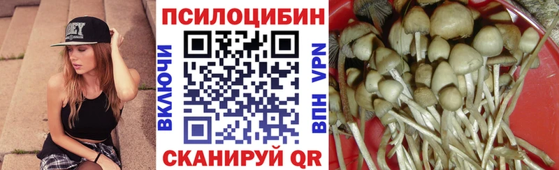 Псилоцибиновые грибы прущие грибы  Городище 